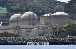 Nhật Bản thông qua kế hoạch tái sử dụng nhiên liệu hạt nhân của các lò phản ứng cũ 